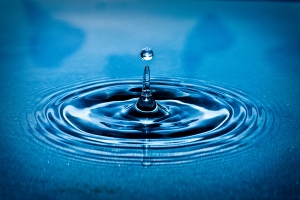 Water, Life And Health